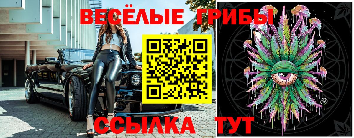 Псилоцибиновые грибы MAGIC MUSHROOMS  Вход с VPN  Мурино  Галлюциногенные грибы мицелий 