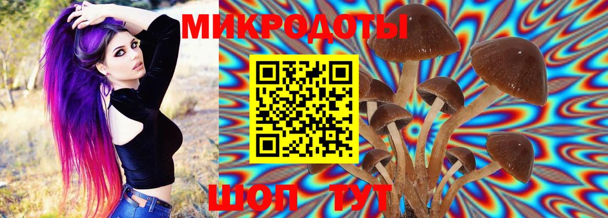 Галлюциногенные грибы Cubensis Мурино